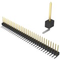 PBC31SGAN - CONN HEADER R/A 31POS 2.54MM