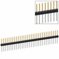 PBC31SFDN - CONN HEADER VERT 31POS 2.54MM