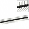 PEC31SBCN - CONN HEADER R/A 31POS 2.54MM
