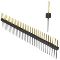 PBC33SFDN - CONN HEADER VERT 33POS 2.54MM
