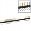 PBC31SBCN - CONN HEADER R/A 31POS 2.54MM
