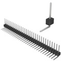 PEC31SGBN - CONN HEADER R/A 31POS 2.54MM