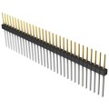 PBC31SFEN - CONN HEADER VERT 31POS 2.54MM