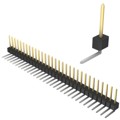 PBC31SGBN - CONN HEADER R/A 31POS 2.54MM