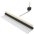 PBC29SBEN - CONN HEADER R/A 29POS 2.54MM