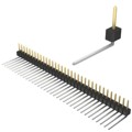 PBC34SBEN - CONN HEADER R/A 34POS 2.54MM