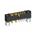 M80-5T10822M2-02-331-00-000 - DATAMATE 2-ROW MIX-TEK MALE VERT