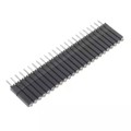 ESS-124-T-05 - CONN SOCKET 24POS 0.1 GOLD PCB