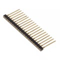 SS-120-G-1B - SOCKET STRIPS
