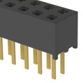 MMS-119-01-H-DV - CONN RCPT 38POS 0.079 GOLD PCB