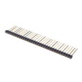 SS-132-G-1B - SOCKET STRIPS