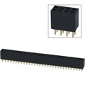 PPPC312LFBN - CONN HDR 62POS 0.1 GOLD PCB