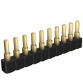 812-22-010-30-004101 - CONN SPRING PISTON 10POS SMD