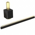 811-22-031-30-004101 - CONN SPRING PISTON 31POS SMD