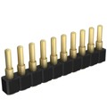 812-22-010-30-005101 - CONN SPRING PISTON 10POS SMD