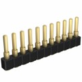 812-22-011-30-007101 - CONN SPRING PISTON 11POS SMD