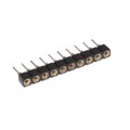 1814655-5 - CONN SOCKET SIP 10POS GOLD
