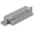1600001 - TERM BLOCK PLUG 10POS STR