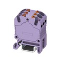 3002973 - DISTRIBUTION BLOCK VIOLET