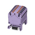 3002974 - DISTRIBUTION BLOCK VIOLET