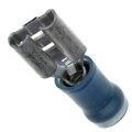 640905-1 - CONN QC RCPT 14-16AWG 0.250