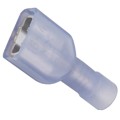 0190030040 - CONN QC RCPT 14-16AWG 0.250