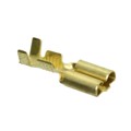 170032-1 - CONN QC RCPT 14-20AWG 0.250