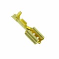 170213-1 - CONN QC RCPT 14-18AWG 0.250