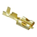 170342-1 - CONN QC RCPT 14-20AWG 0.250