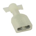 0190030106 - CONN QC RCPT 24-26AWG 0.250