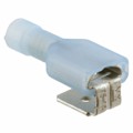 0190130030 - CONN QC RCPT/TAB 14-16AWG 0.250