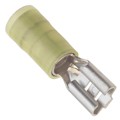 0190190037 - CONN QC RCPT 10-12AWG 0.250