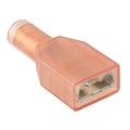 735279 - CONN QC RCPT 18.5-22AWG 0.250