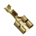 63623-1 - CONN QC RCPT 19-24AWG 0.250