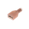 1-1377175-2 - CONN QC RCPT 15.5-17AWG 0.250