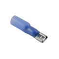 76-HIFD16L - HEAT SHRINK INS FEM DISC  50 BAG