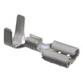 42021 - CONN QC RCPT 12-16AWG 0.250