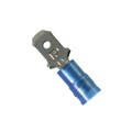 DNF14-250M-E - CONN QC TAB 14-16AWG 0.250 CRIMP