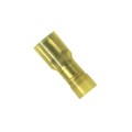 DNF10-250FIB-L - CONN QC RCPT 10-12AWG 0.250