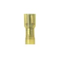 EDNF10250FIMB-Q - STRONGHOLD MALE DISCONNECT, NYLO