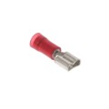 DNF18-206-C - CONN QC RCPT 18-22AWG 0.187