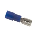76-NIFD16-187C - NYLON INS FEMALE DISCONN 100 BAG
