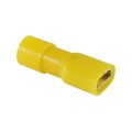 76-NFIFD12C - NYLON FULLY INS FEM DISC 100 BAG