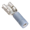 0192750005 - CONN QC RCPT 14-16AWG 0.250