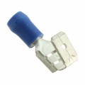 DV14-250P-L - CONN QC RCPT/TAB 14-16AWG 0.250