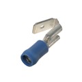 DMV2-63P-X - CONN QC RCPT/TAB 14-16AWG 0.250