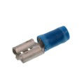 170604-1 - .250 PIDG FASTON RECEPT