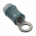 320619 - CONN RING CIRC 14-16AWG #6 CRIMP