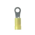 EV10-8RB-Q - STRONGHOLD RING TERMINAL, VINYL