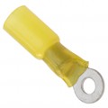 0191640062 - CONN RING CIRC 10-12AWG #8 CRIMP
